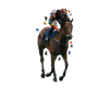 horse-27-cms
