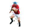 rugby-22-cms