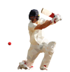 cricket-4-white