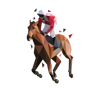 horse-47-cms