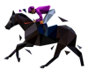 horse-51