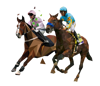 Spreadex 2nd to a rag horse racing betting insurance offer image