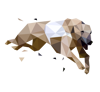 greyhounds-4-cms
