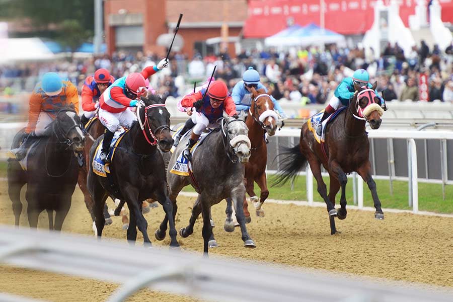 2020 durban july tips