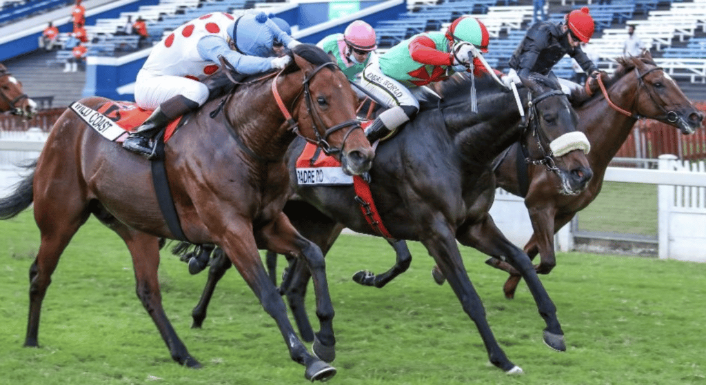 padre pio durban july