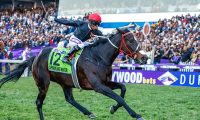 Sparkling Water Durban July